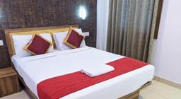 Hotel Feathers in Kochi