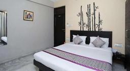 Hotel Ace Plaza in Udaipur