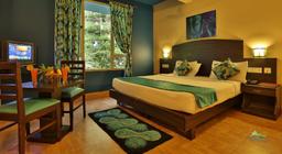 Misty Mountain Resort in Munnar
