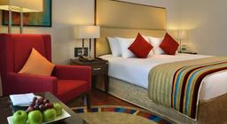 Park Plaza Chandigarh Zirakpur in Zirakpur