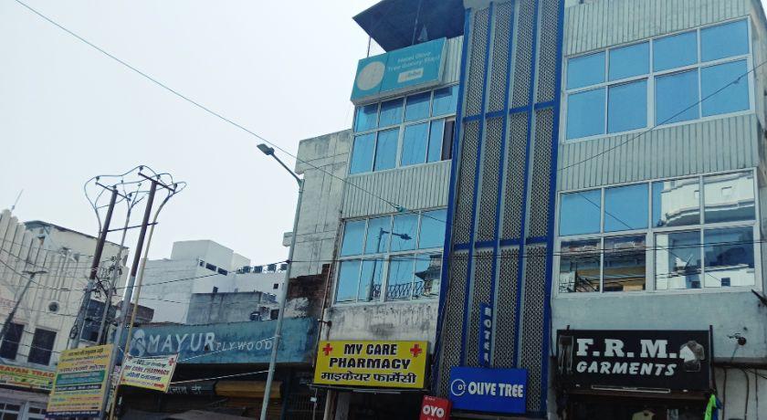 Hotel Olive Tree in Lucknow