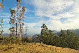 Kodai Mist Resort in Kodaikanal